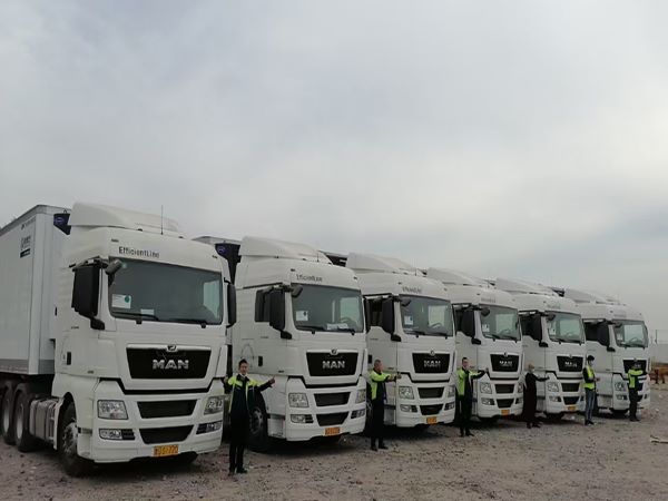 上海冷鏈運(yùn)輸 上海冷鏈運(yùn)輸