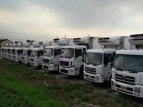 上海冷藏運(yùn)輸 上海冷藏運(yùn)輸