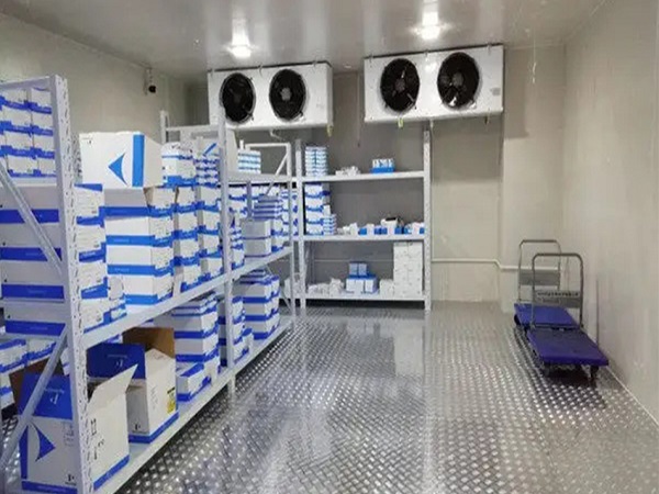 杭州到上海冷鏈物流 杭州到上海冷鏈物流